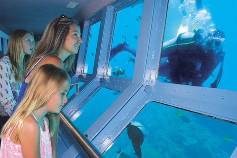 Quicksilver Outer Great Barrier Reef Snorkel Cruise From Palm Cove - Accommodation Broome 0