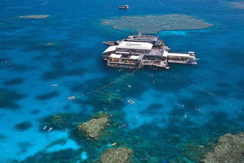 Quicksilver Outer Great Barrier Reef Snorkel Cruise From Palm Cove - Accommodation Broome 1