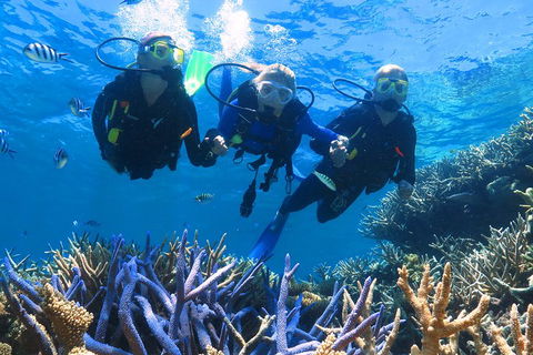 Quicksilver Outer Great Barrier Reef Snorkel Cruise From Palm Cove - Accommodation Broome 3