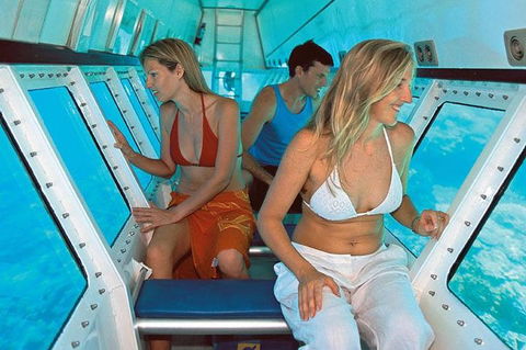 Quicksilver Outer Great Barrier Reef Snorkel Cruise From Palm Cove - Accommodation Broome 5
