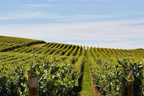 West Tamar Wine Tour - Accommodation Broome 2