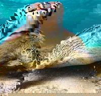 Sail Snorkel SUP  Kayak Charter Whitsundays - Accommodation Broome