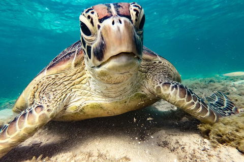 Sail, Snorkel, SUP & Kayak Charter Whitsundays - Accommodation Broome 0