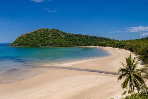 Daintree And Cape Tribulation Tour From Cairns - Accommodation Broome 1