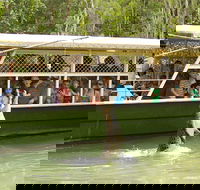 Hartley's Crocodile Adventure Half-Day Tour - Accommodation Broome