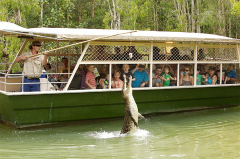 Hartley's Crocodile Adventure Half-Day Tour - Accommodation Broome 0
