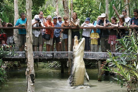Hartley's Crocodile Adventure Half-Day Tour - Accommodation Broome 1