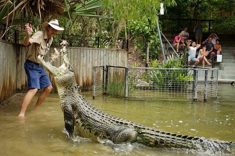 Hartley's Crocodile Adventure Half-Day Tour - Accommodation Broome 2