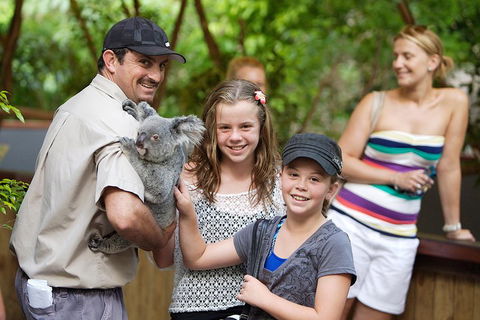 Hartley's Crocodile Adventure Half-Day Tour - Accommodation Broome 3