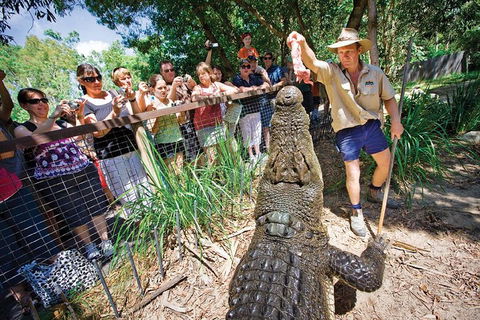 Hartley's Crocodile Adventure Half-Day Tour - Accommodation Broome 4