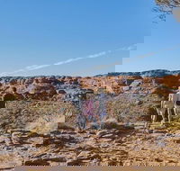 The Amazing Kings Canyon 4-Hours Walking Tour and Hike - Accommodation Broome