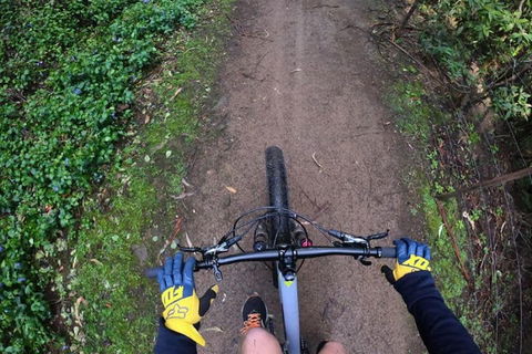 Explore Downhill Mountain In 3-Hour Bike Tour From Hobart - Accommodation Broome 2