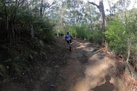 Explore Downhill Mountain In 3-Hour Bike Tour From Hobart - Accommodation Broome 3