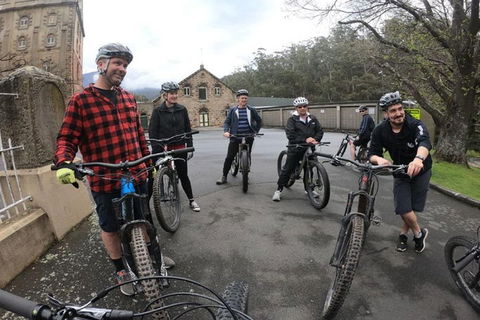 Explore Downhill Mountain In 3-Hour Bike Tour From Hobart - Accommodation Broome 5