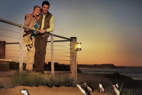 The Ultimate Melbourne Attractions Pass - Accommodation Broome 3