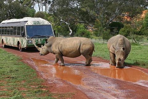 The Ultimate Melbourne Attractions Pass - Accommodation Broome 4