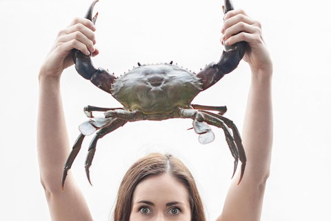 The Ultimate Gold Coast Attractions Pass - Accommodation Broome 0