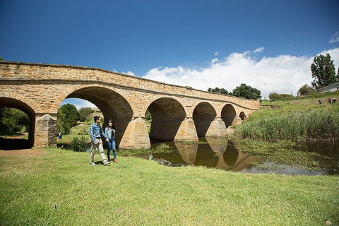 Bonorong Wildlife Park And Richmond Afternoon Tour From Hobart - Accommodation Broome 0