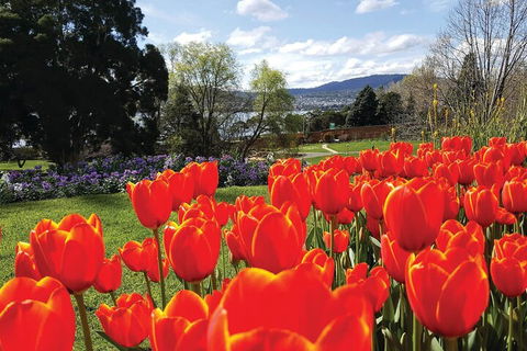 Hobart Half-Day Sightseeing Coach Tram Tour - Accommodation Broome 4