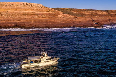 Kalbarri Sunset Coastal Cliff Cruise - Accommodation Broome 4