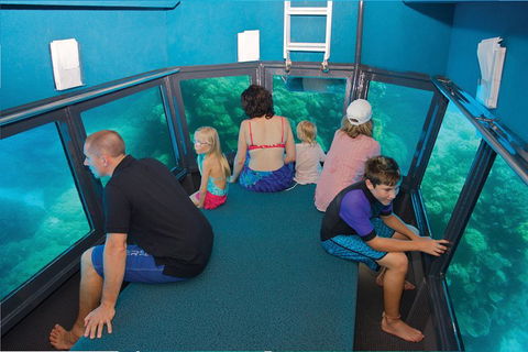 Great Barrier Reef Adventure From Cairns - Accommodation Broome 1