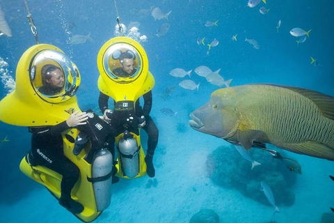 Great Barrier Reef Adventure From Cairns - Accommodation Broome 2