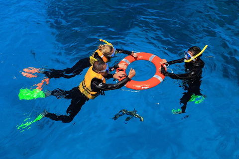 Great Barrier Reef Adventure From Cairns - Accommodation Broome 3