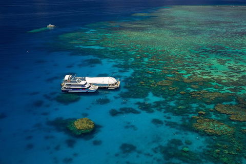 Great Barrier Reef Adventure From Cairns - Accommodation Broome 4
