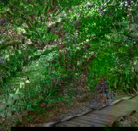 Green Island Eco Adventure from Cairns - Accommodation Broome