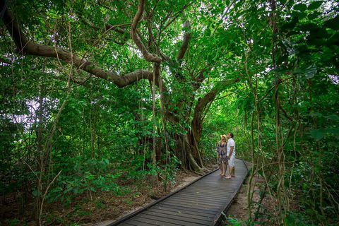 Green Island Eco Adventure From Cairns - Accommodation Broome 0