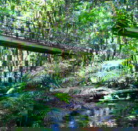 Double Pack-Ancient Rainforest and Waterfalls - Accommodation Broome