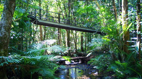Double Pack-Ancient Rainforest And Waterfalls! - Accommodation Broome 0