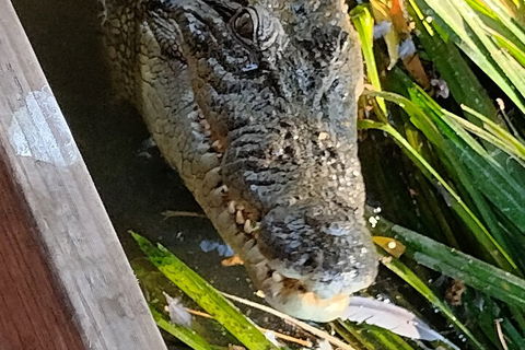 Litchfield Park Adventures And Jumping Crocodile Cruise + Butterfly Farm - Accommodation Broome 1