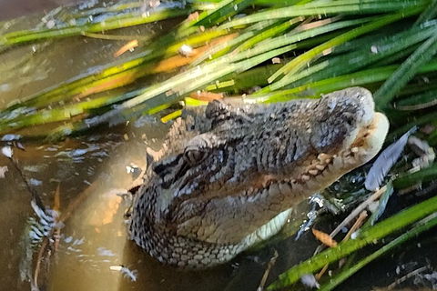 Litchfield Park Adventures And Jumping Crocodile Cruise + Butterfly Farm - Accommodation Broome 4