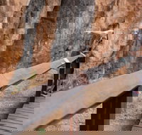 Chillagoe Caves and Outback Day Trip from Cairns - Accommodation Broome