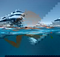 3 Day Great Barrier Reef Daintree Rainforest and Outback Chillagoe Tour - Accommodation Broome