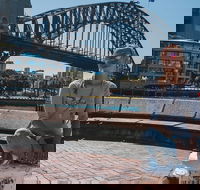 Sydney Private Tours by Locals 100 Personalized See the City Unscripted - Accommodation Broome