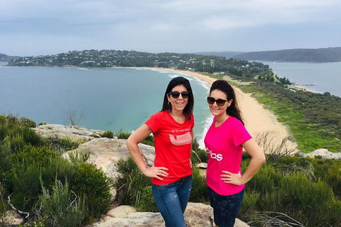Small-Group Sydney's Northern Beaches And Ku-ring-gai National Park Bus Tour - Accommodation Broome 3
