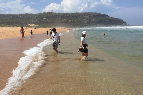 Small-Group Sydney's Northern Beaches And Ku-ring-gai National Park Bus Tour - Accommodation Broome 5