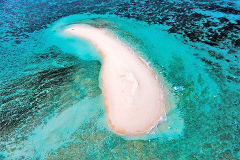 Private Coral Cay Bubbles Tour - Accommodation Broome 3