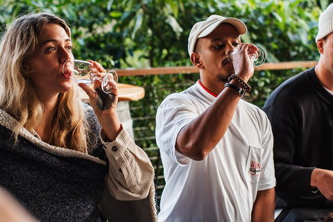 Full-Day Tour To Byron Bay Best Food And Drink Spots - Accommodation Broome 1