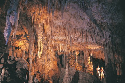 4 Day Tour: Albany, Margaret River, Valley Of The Giants TreeTop Walk From Perth - Accommodation Broome 1