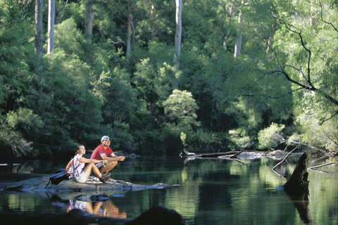 4 Day Tour: Albany, Margaret River, Valley Of The Giants TreeTop Walk From Perth - Accommodation Broome 3
