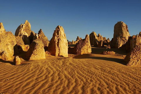 Full Day Pinnacle Desert Explorer From Perth Including Hillarys And Lancelin Sandboarding - Accommodation Broome 3