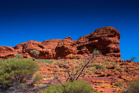 7-Day Guided Tour Of Alice Springs With Accommodation Included - Accommodation Broome 4