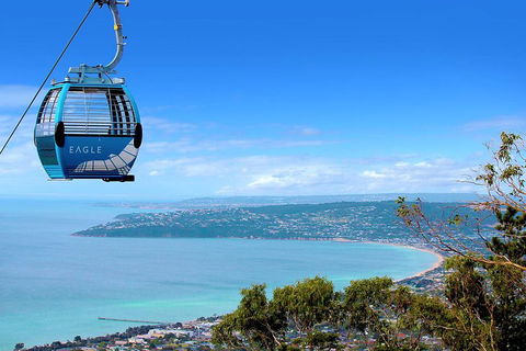 Peninsula Hot Springs Tour With Restaurant Lunch & Gondola Ride - Accommodation Broome 1