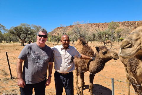 West MacDonnell Ranges Half-Day Small-Group Tour With Camel Ride - Accommodation Broome 1
