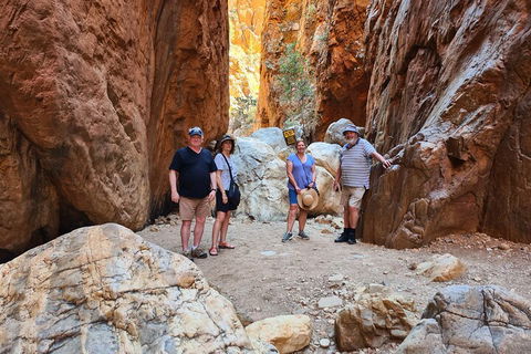 West MacDonnell Ranges Half-Day Small-Group Tour With Camel Ride - Accommodation Broome 4