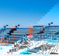 Calypso Outer Great Barrier Reef Cruise from Port Douglas - Accommodation Broome
