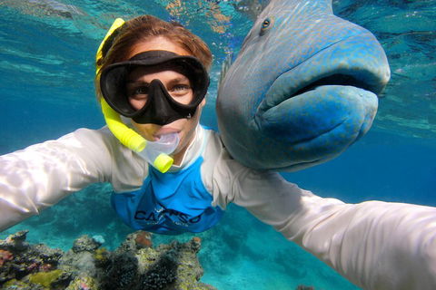 Calypso Outer Great Barrier Reef Cruise From Port Douglas - Accommodation Broome 5